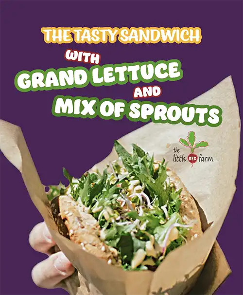 The Little Red Farm - Instagram post