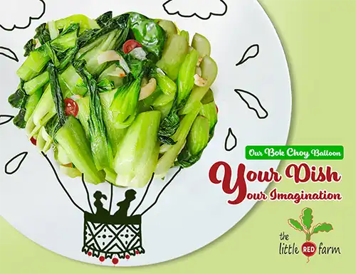 The Little Red Farm - Instagram post