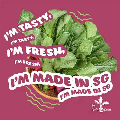 The Little Red Farm - Instagram post