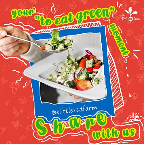 The Little Red Farm - Instagram post