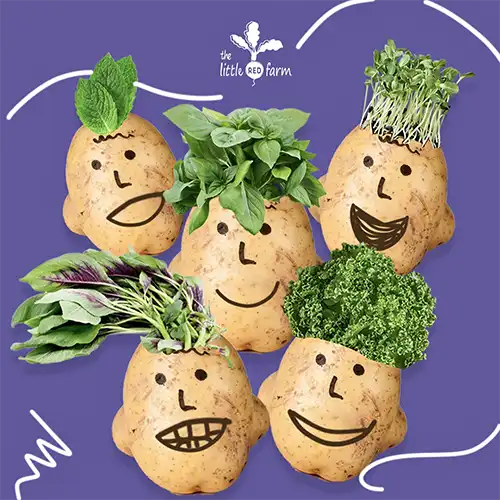 The Little Red Farm - Instagram post