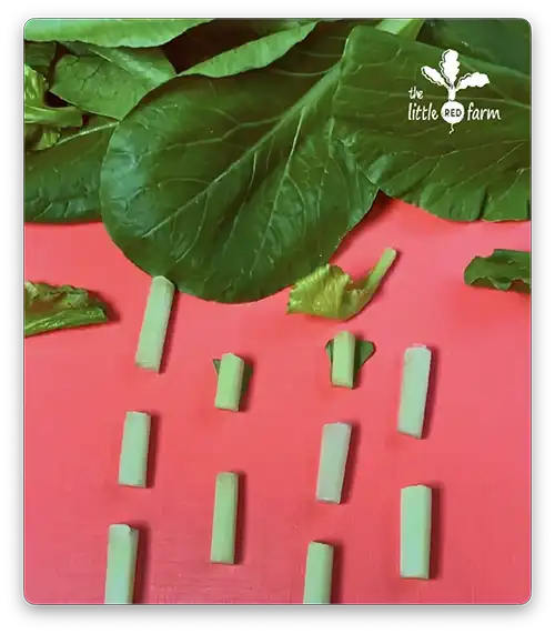 The Little Red Farm - Instagram post