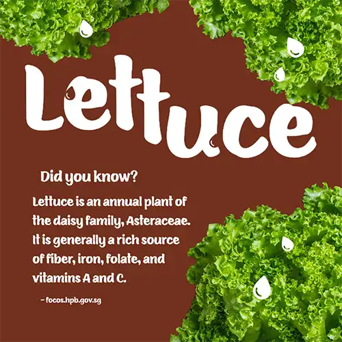 The Little Red Farm - Instagram post