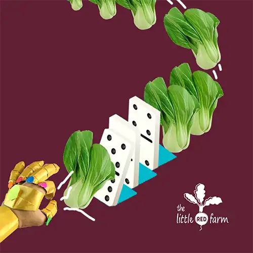 The Little Red Farm - Instagram post