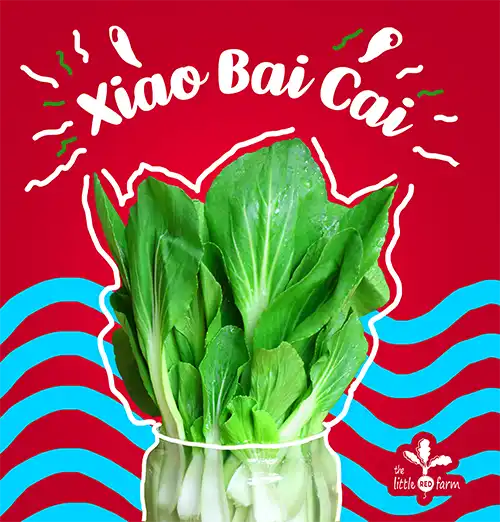 The Little Red Farm - Instagram post