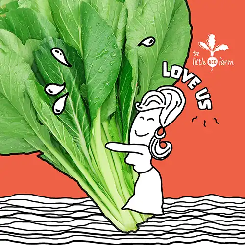 The Little Red Farm - Instagram post