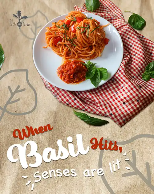 The Little Red Farm - Instagram post