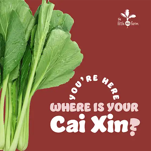 The Little Red Farm - Instagram post