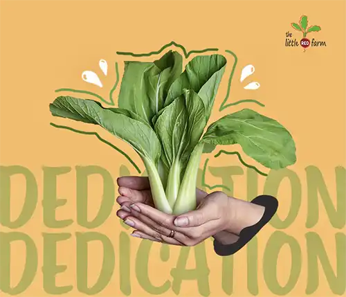 The Little Red Farm - Instagram post