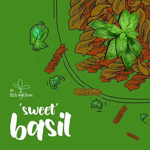 The Little Red Farm - Instagram post