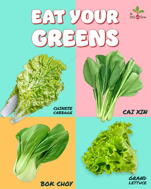 The Little Red Farm - Instagram post