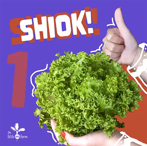 The Little Red Farm - Instagram post