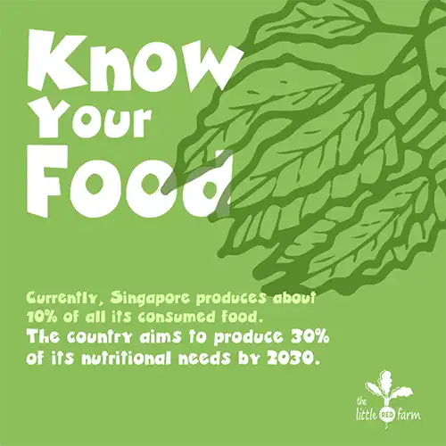 The Little Red Farm - Instagram post