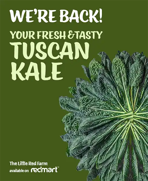 The Little Red Farm - Instagram post