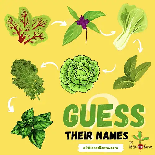 The Little Red Farm - Instagram post