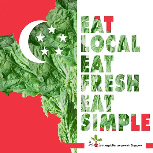 The Little Red Farm - Instagram post