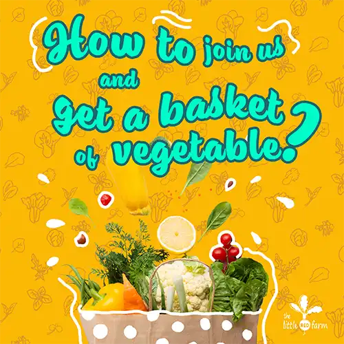 The Little Red Farm - Instagram post