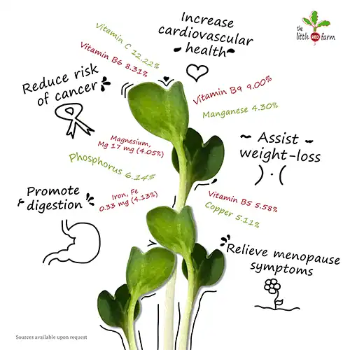 The Little Red Farm - Instagram post