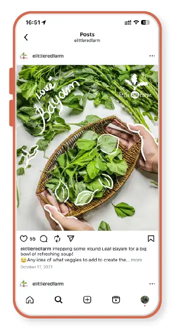 The Little Red Farm - Instagram post