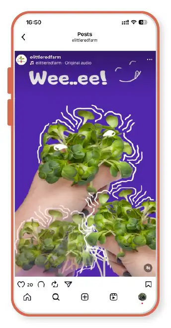 The Little Red Farm - Instagram post