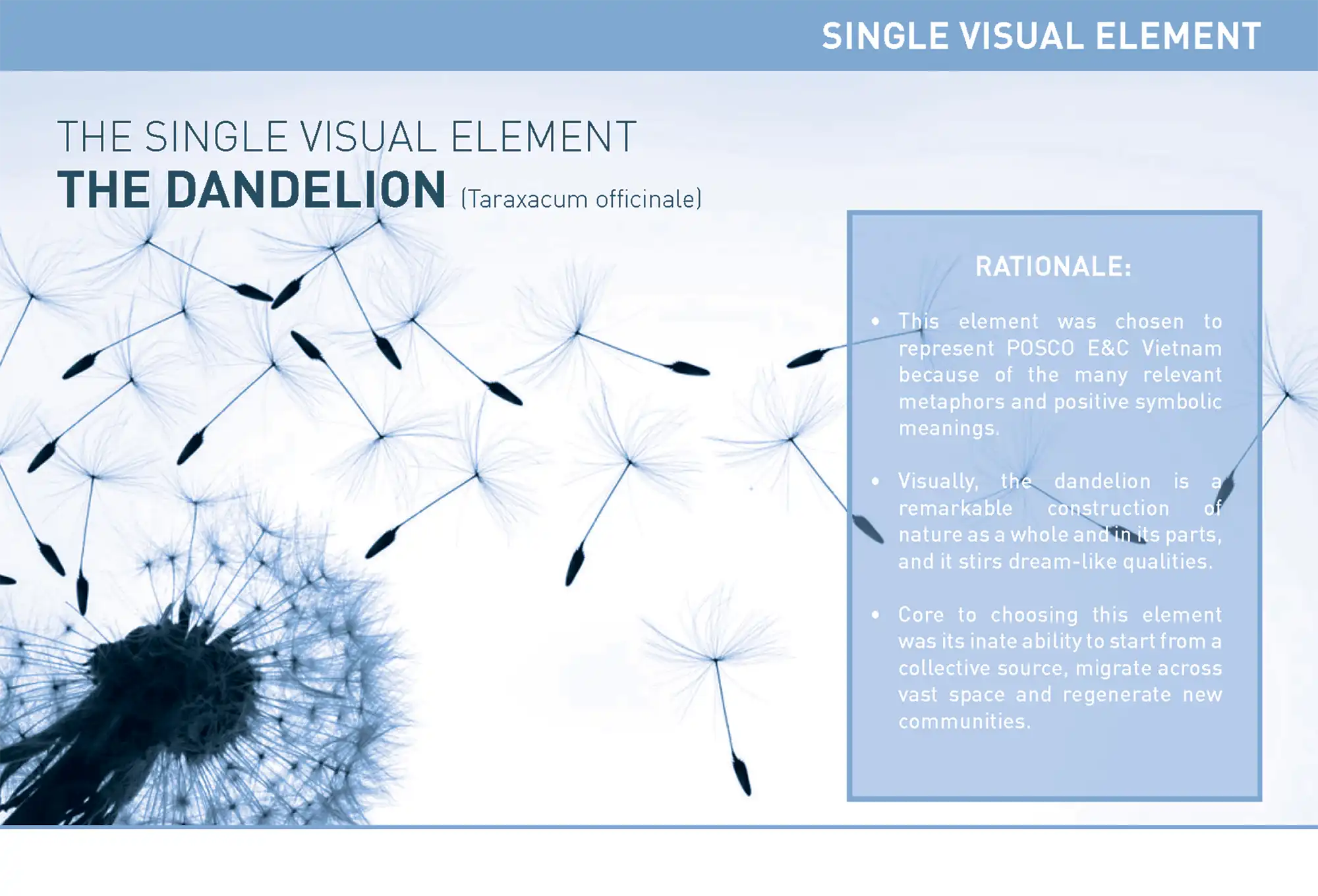POSCO Brochure Concept