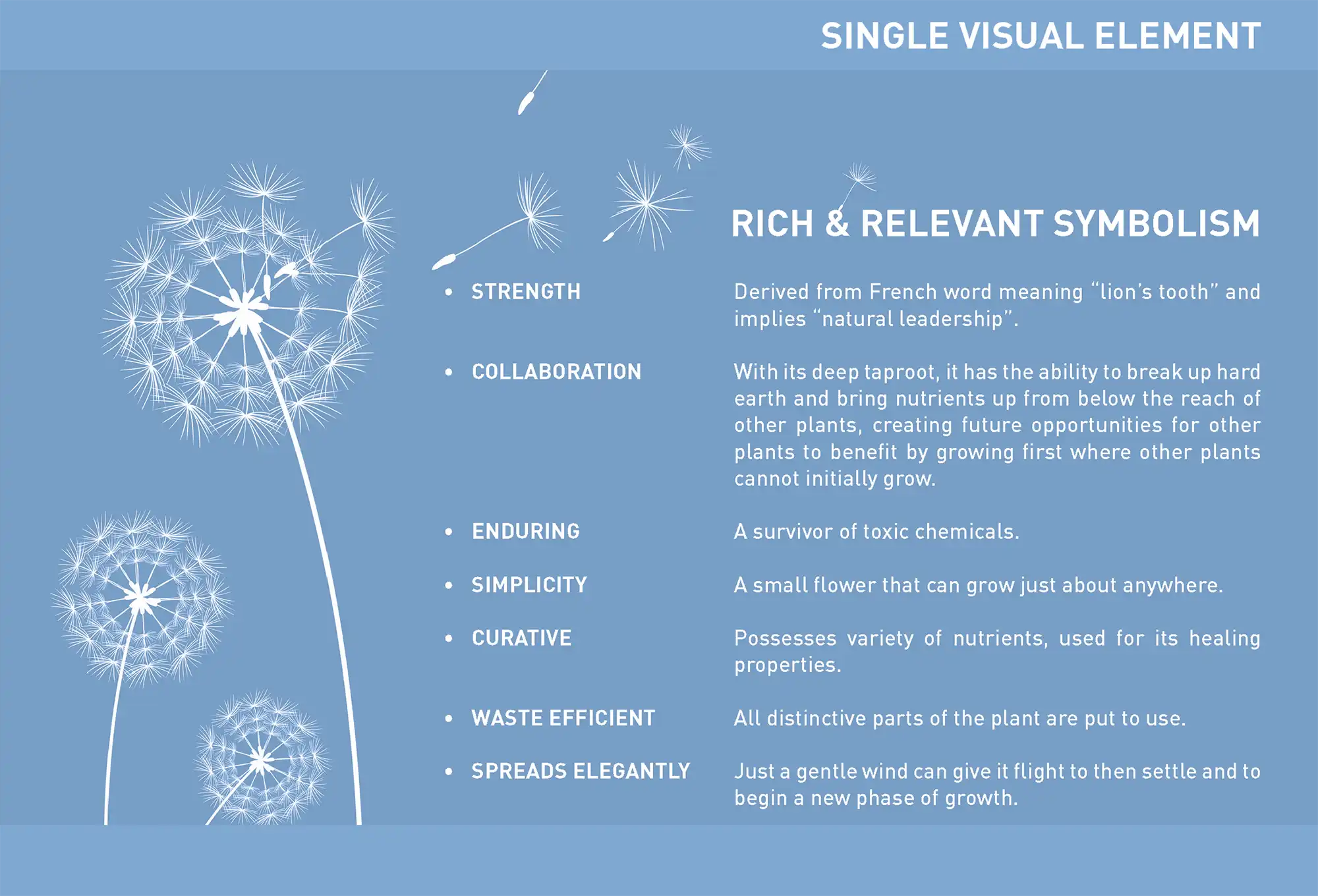 POSCO Brochure Concept