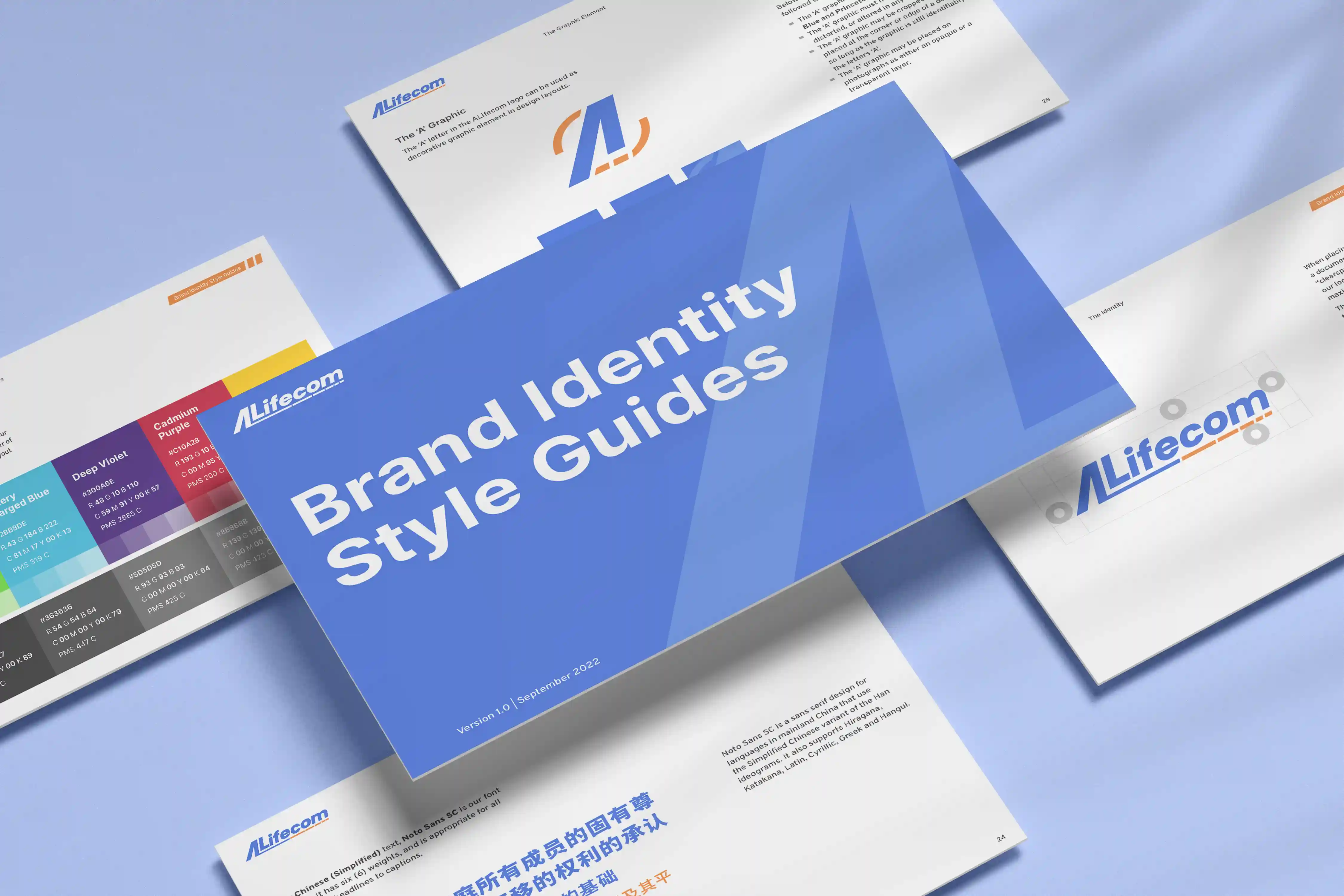 Brand Guidelines Work