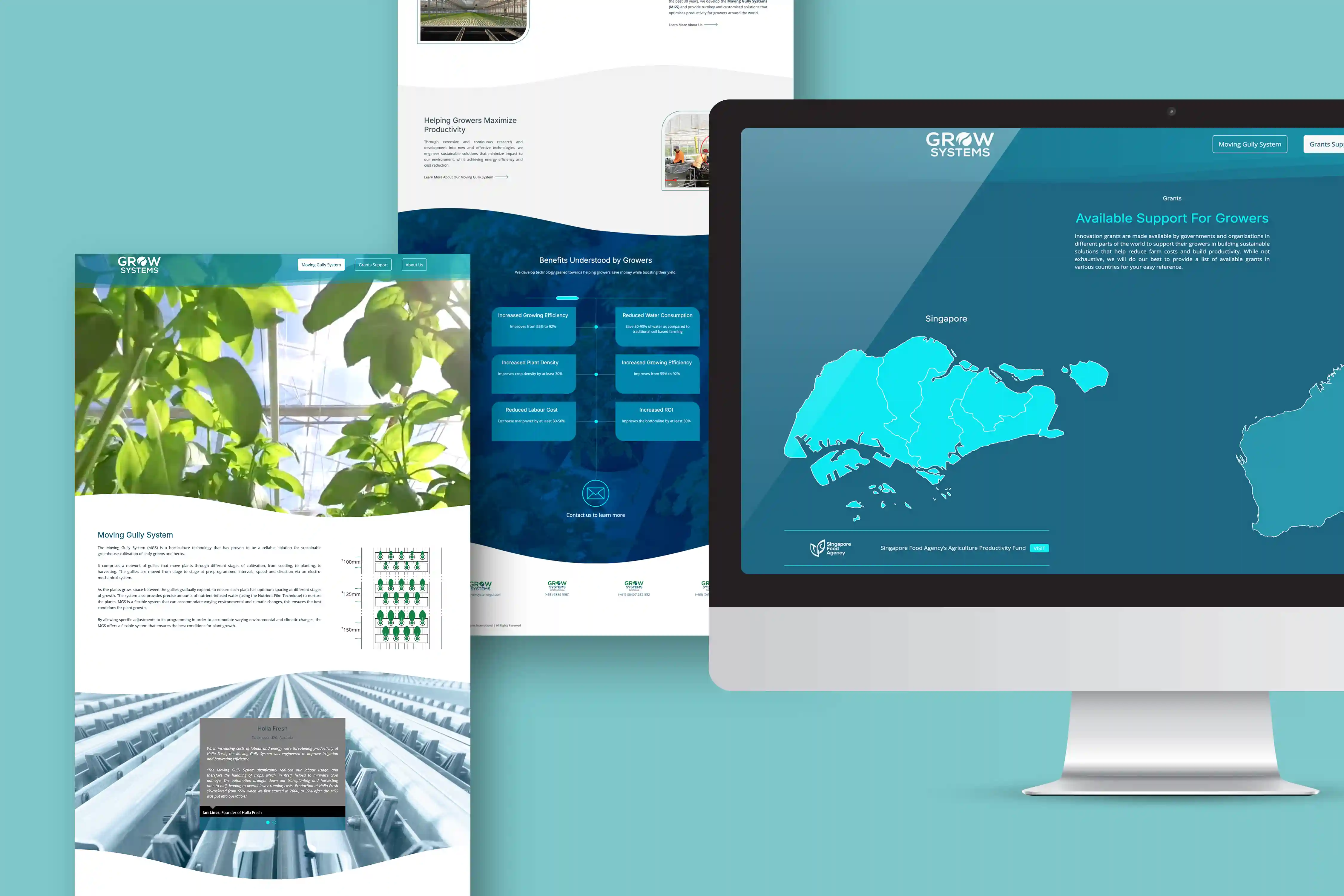 Web Development Work