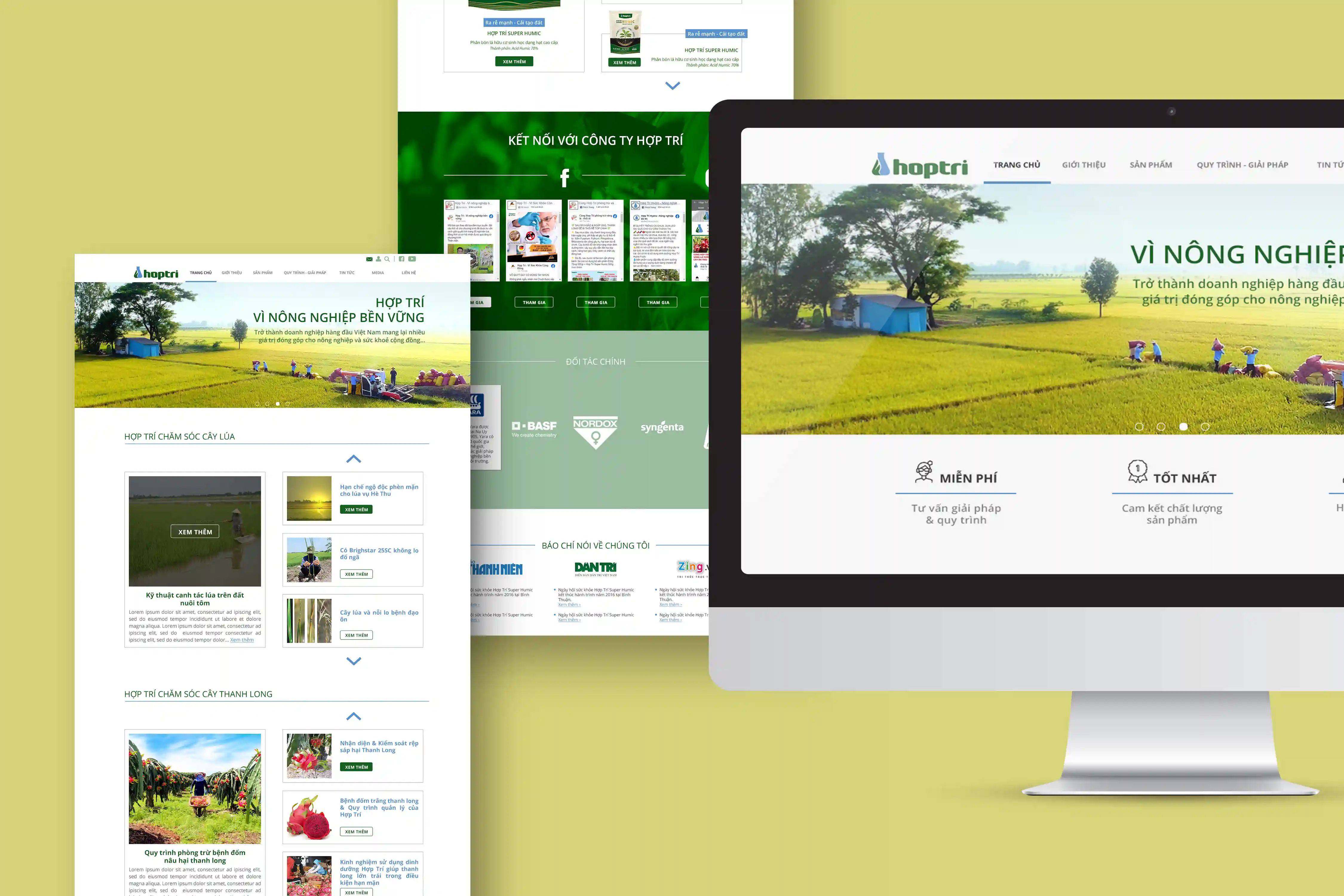 Web Development Work